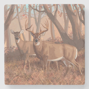 Whitetail Deer In Forest Retro Style Nature Stone Coaster