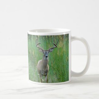 Whitetail Deer in Meadow Mug