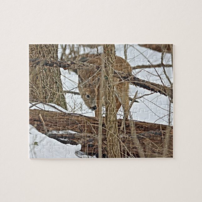 Whitetail Deer In Snow Jigsaw Puzzle (Horizontal)