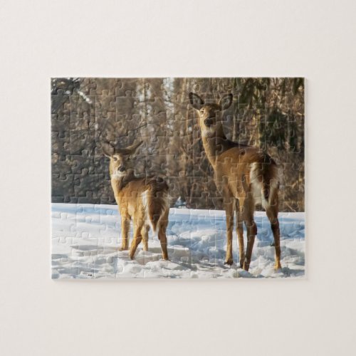 Whitetail Deer in Snow Jigsaw Puzzle