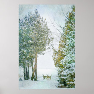 Whitetail Deer in Winter Snow Wildlife Watercolor Poster