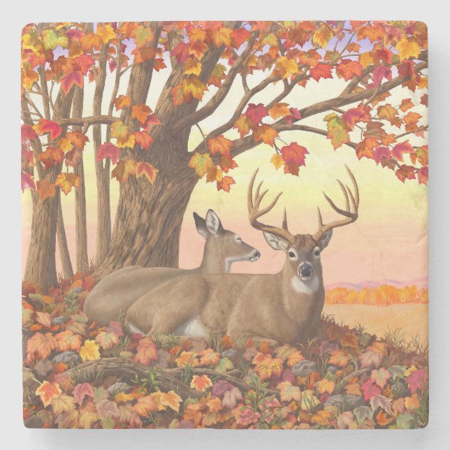 Whitetail Deer Maple Tree Autumn Orange Stone Coaster (Front)