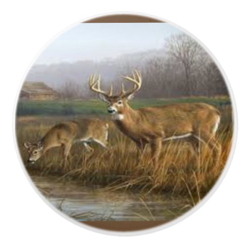 Whitetail Deer on Ceramic Door Knobs and Pulls