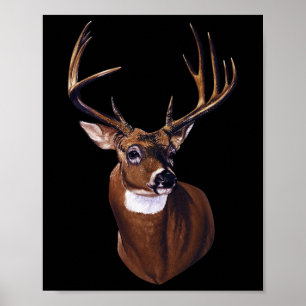 Whitetail Deer Portrait Antlers Wildlife Animal Gr Poster