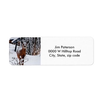 Whitetail Deer Return Address Labels by Susang6 at Zazzle