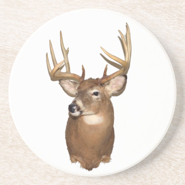 Whitetail Deer Sandstone Coaster (Front)