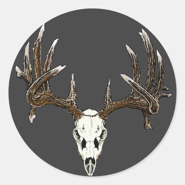 Whitetail deer skull 1 classic round sticker (Front)