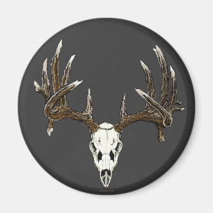 Whitetail deer skull 1 magnet