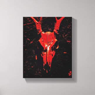 Whitetail Deer Skull Canvas Print