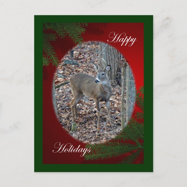 Whitetail Deer Spike Buck Happy Holidays Series Holiday Postcard (Front)