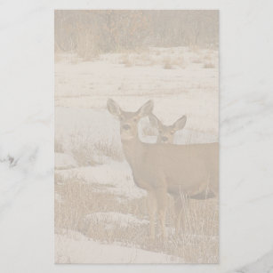 Whitetail Deer Stationery