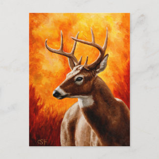 Whitetail Deer Trophy Buck Head Postcard
