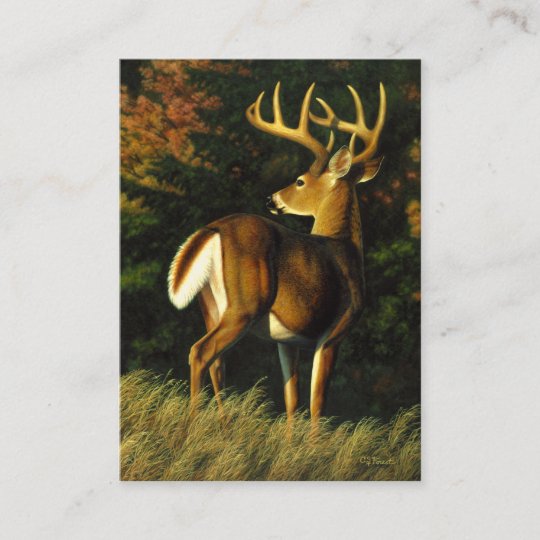 Whitetail Deer Trophy Buck Hunting Business Card Zazzle
