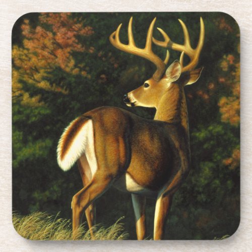 Whitetail Deer Trophy Buck Hunting Coaster