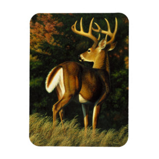 Whitetail Deer Trophy Buck Hunting Magnet