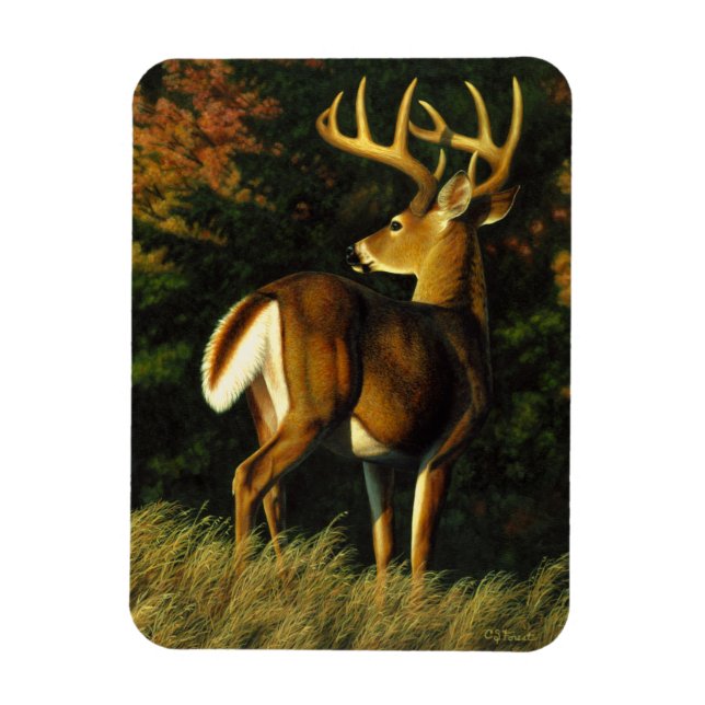 Whitetail Deer Trophy Buck Hunting Magnet (Vertical)