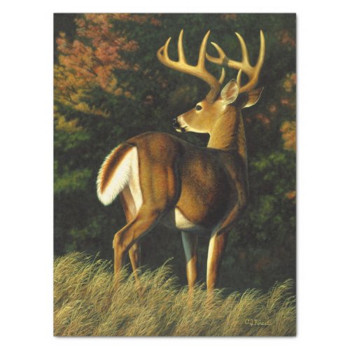 Whitetail Deer Trophy Buck Hunting Tissue Paper