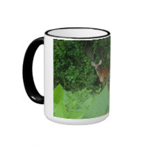 Whitetail Deer Two Toned Coffee Mug