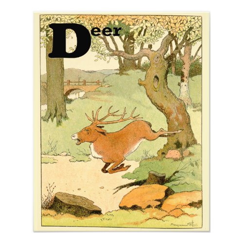 Whitetail Deer Vintage Animal Alphabet Photo Print