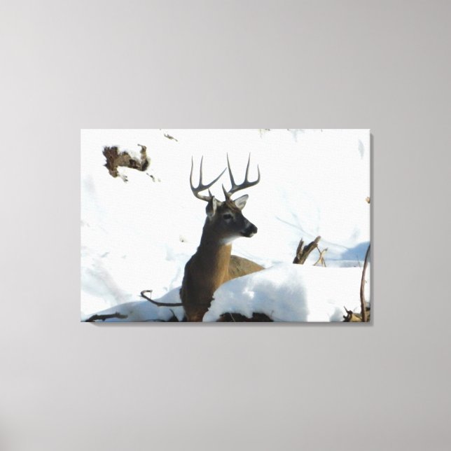 Whitetail Deer Winter Antlers Canvas Print (Front)
