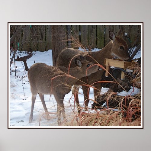 Whitetail Doe and Fawn Deer Value Poster Paper