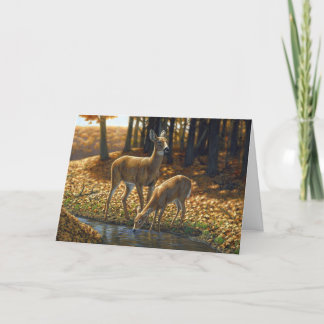 Whitetail Doe and Fawn Drinking from a Stream Card