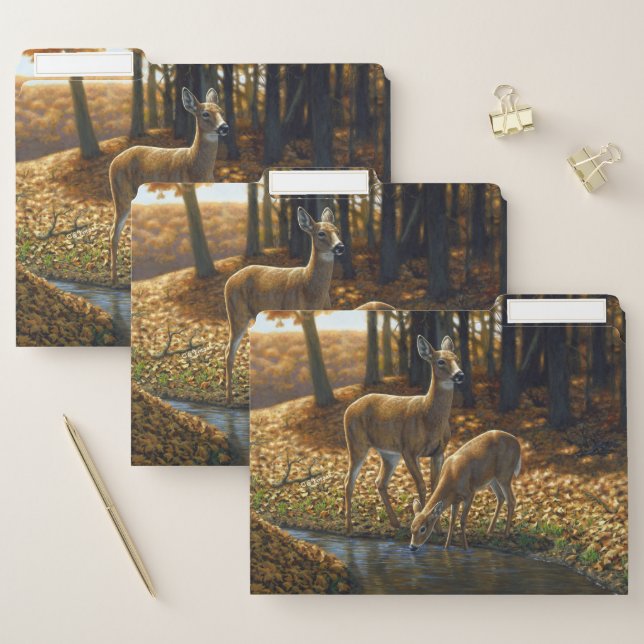 Whitetail Doe and Fawn Drinking from a Stream File Folder (Set)