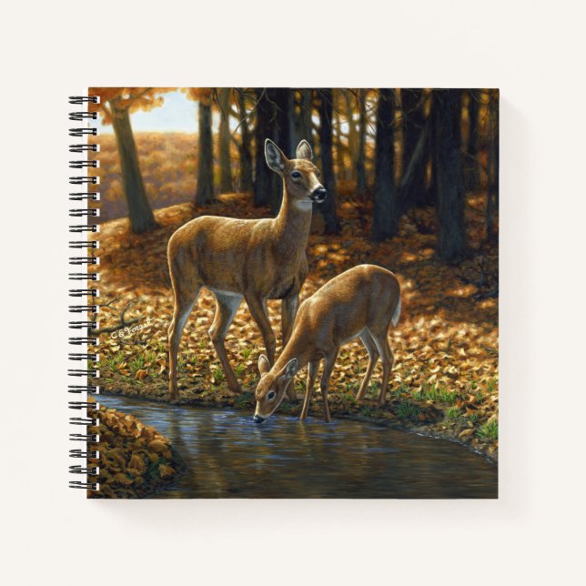 Whitetail Doe and Fawn Drinking from a Stream Notebook (Front)