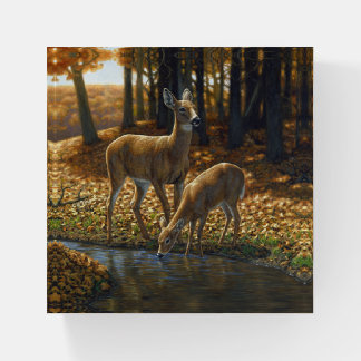 Whitetail Doe and Fawn Drinking from a Stream Paperweight