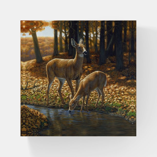 Whitetail Doe and Fawn Drinking from a Stream Paperweight (Front)