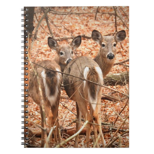 Whitetail Doe and her Fawn in the autumn Woods  Notebook (Front)