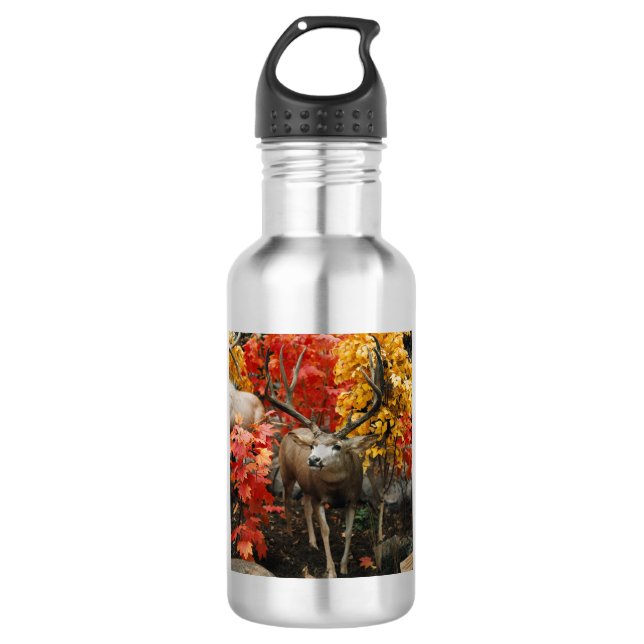 Whitetail In Autumn Aluminum Water Bottle (Front)