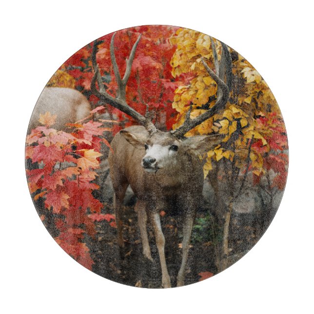 Whitetail In Autumn Cutting Board (Front)