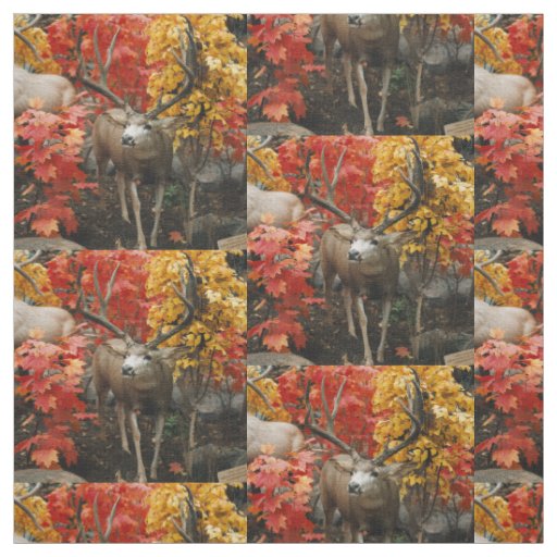 Whitetail In Autumn Fabric