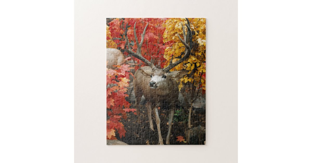 Whitetail In Autumn Jigsaw Puzzle | Zazzle