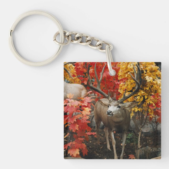 Whitetail In Autumn Keychain (Front)