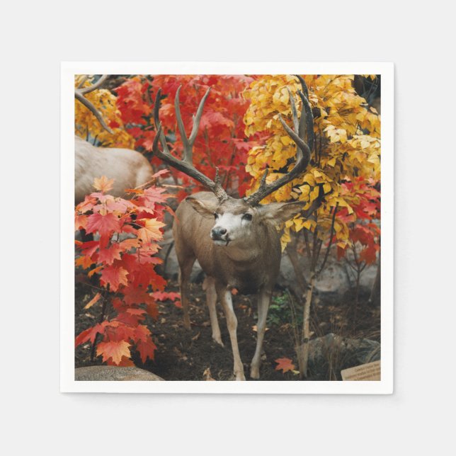 Whitetail In Autumn Napkins (Front)