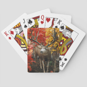 Whitetail In Autumn Poker Cards