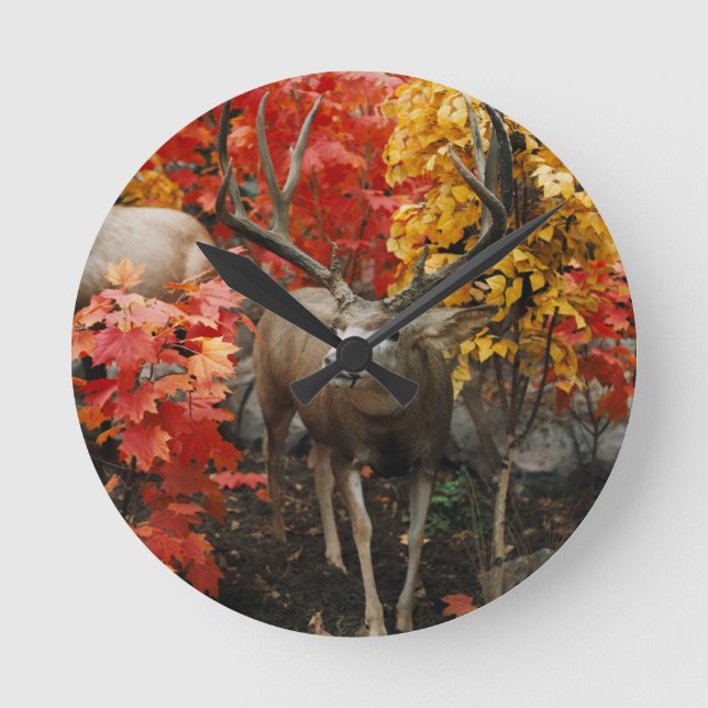 Whitetail In Autumn Round Clock (Front)
