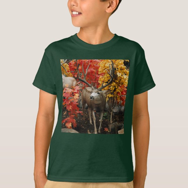 Whitetail In Autumn  T-Shirt (Front)