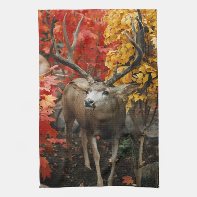 Whitetail In Autumn Towel (Vertical)