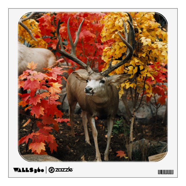 Whitetail In Autumn Wall Sticker (Front)