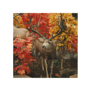 Whitetail In Autumn Wood Wall Decor