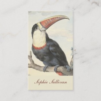Whitethroated American Toucan Vintage Watercolor Business Card by DigitalDreambuilder at Zazzle