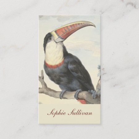 Whitethroated American Toucan Vintage Watercolor Business Card