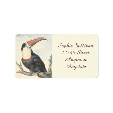 Whitethroated American Toucan Vintage Watercolor Label