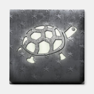 Whitewashed Turtle Magnet