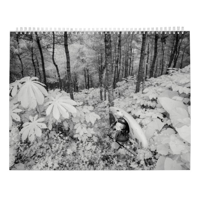 Whitewater 2016 calendar (Back)