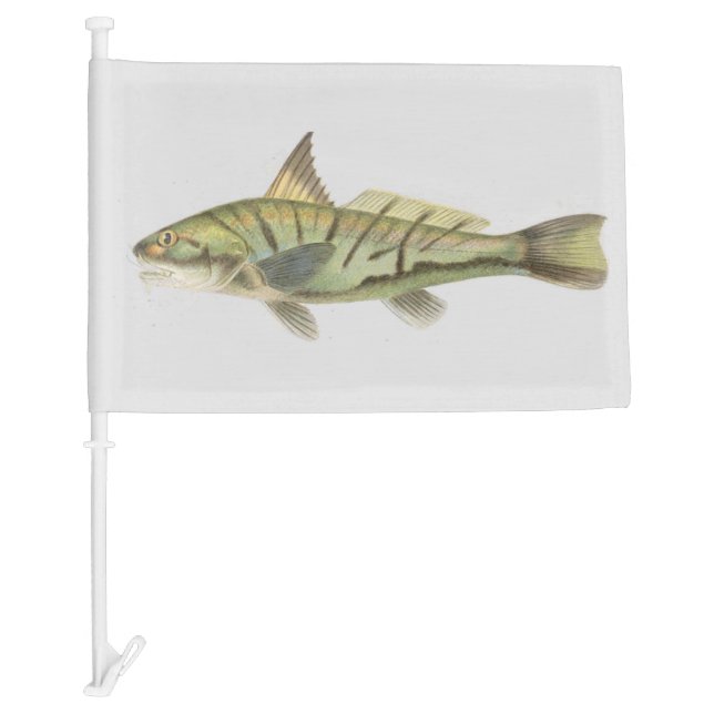 Whiting Flag (Front)