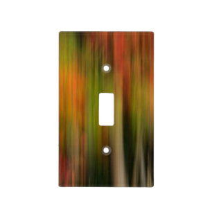 Whitman Mission National Historic Site, WA Light Switch Cover